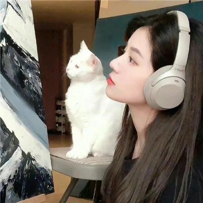 亚当变奏曲